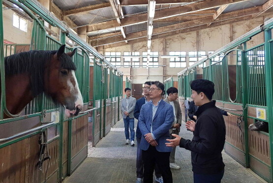 영천경마공원 경북도 관계자 방문 모습. 사진=렛츠런파크 부산경남 제공