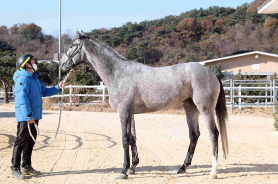 석세스타임. 사진=렛츠런파크 부산경남 제공