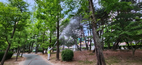 도시녹지 병해충 방제사업 장면. 사진=김해시 제공