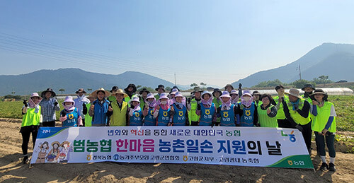 경북농협이 14일 고령관내 농가 방문해 농촌일손돕기를 갖고 기념쵤영을 하고 있다. 이날 경북본부, 고령군지부, 고령관내 농‧축협 직원 80여명이 양파 수확 및 감자 줄기 제거 등의 작업에 구슬땀을 흘렸다. 사진=경북농협 제공