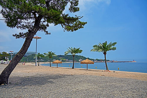 경주 관성솔밭해수욕장. 사진=경북문화관광공사 제공