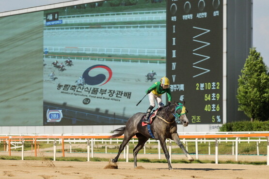 농식품부장관배에서 우승한 석세스백파와 유현명 기수. 사진=렛츠런파크 부산경남 제공