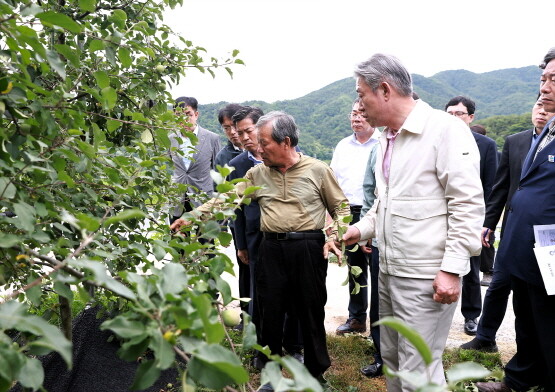 사과 생육상황 현장 점검. 사진=경남농협 제공