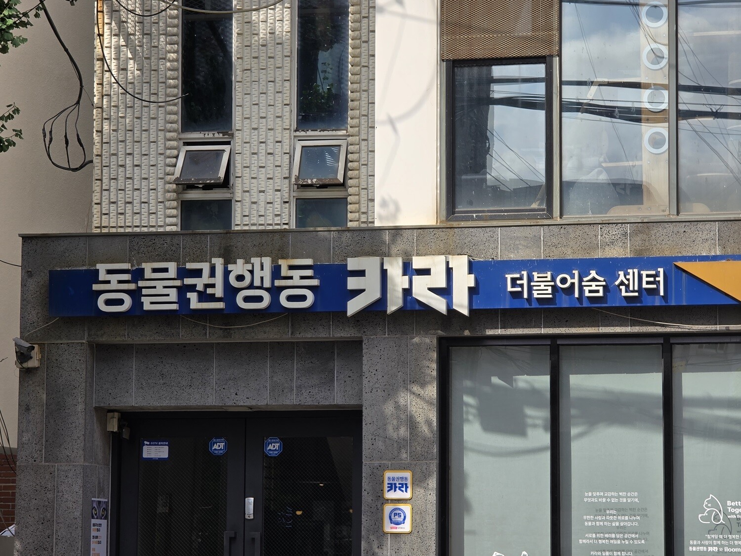 서울 마포구에 위치한 동물권행동 카라 더불어숨 센터. 사진=노영현 기자