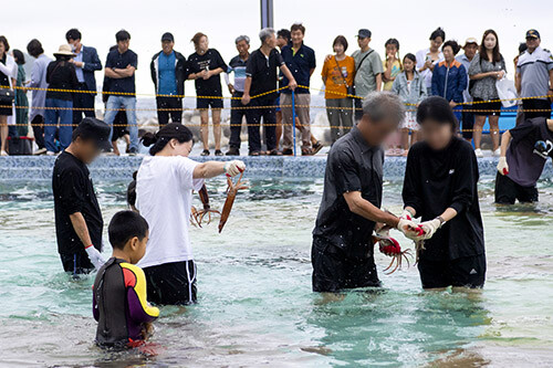 지난해 열린 '제21회 울릉도 오징어 축제'. 사진=경북도 제공