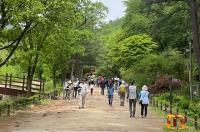 서울대 관악수목원, 한국-인도 현대미술교류전 일정 맞춰 개방