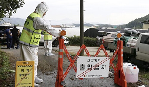 럼피스킨 발병이 확인된 한우농장 축사 입구에서 방역 당국이 출입통제 시설물을 설치하고 있다. 사진=일요신문 DB