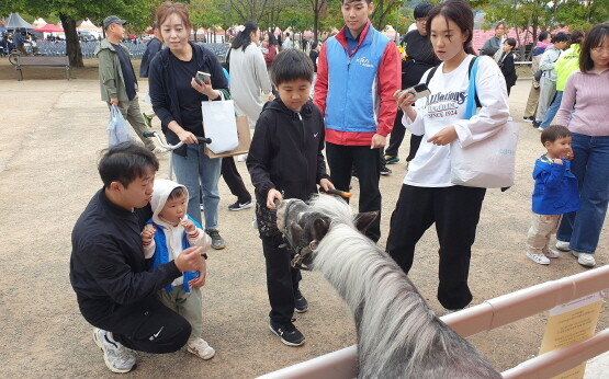 가야문화축제 미니호스 나들이 행사 모습. 사진=한국마사회 부산경남본부 제공