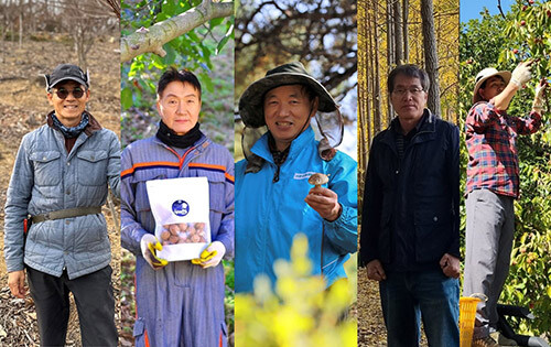 남부산림청이 임업경영 모범사례를 2019년부터 등록된 관내 임업경영체 중 규모와 재배 품목을 고려해 5명을 선정했다. 사진=남부산림청 제공