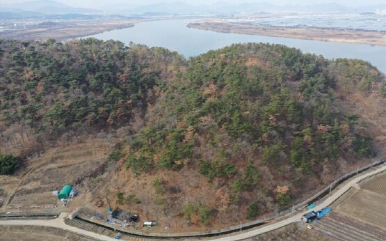 소나무재선충병에 감염된 임야 모습. 사진=김해시 제공