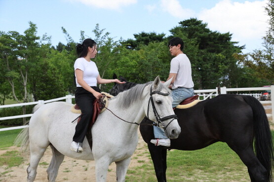 미혼남녀가 렛츠런파크 승마랜드에서 말과 함께 즐거운 한때를 보내고 있는 모습. 사진=한국마사회 부산경남본부 제공