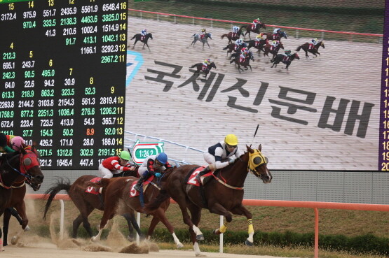 국제신문배 강서자이언트 우승 장면. 사진=한국마사회 부산경남본부 제공