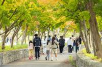 렛츠런파크 부산경남, 호스아일랜드 걷기대회 성료