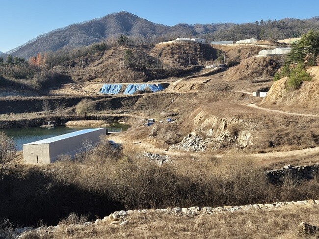 통일재단의 청평면 고성리 관상수 재배 사업 지역. 사진=최남일기자