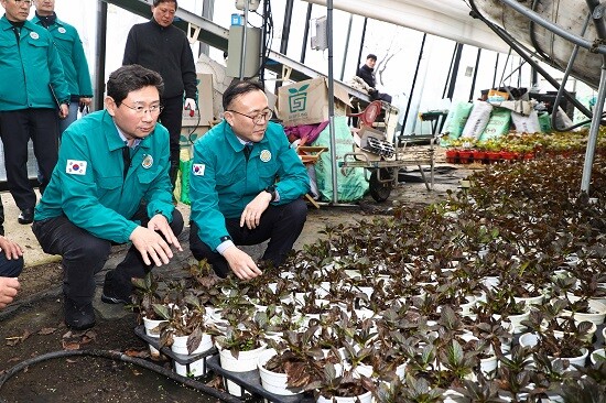 이상일 용인특례시장과 이한경 행정안전부 차관이 폭설 피해를 입은 처인구 남사읍 진목리 화훼농가 현장을 점검하고 있다. 사진=용인특례시 제공