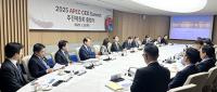 'APEC CEO summit 민간추진위원회' 출범