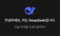 딥시크 보안 우려…개인정보위 "신중한 이용 당부"