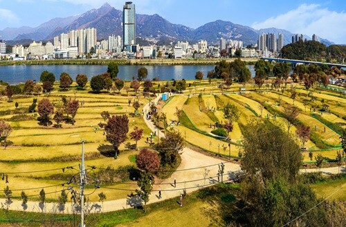 양평파크골프장. 사진=양평군청 제공
