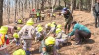 [기장군] 어린이들과 함께 다채로운 산림 문화행사 진행 외