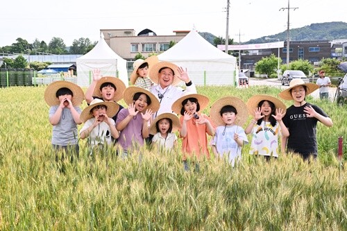 양평 밀 축제. 사진=양평군청 제공