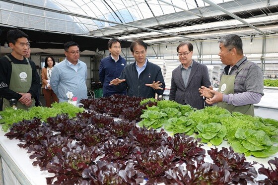 사리현동 시설채소 스마트팜 방문한 이동환 고양특례시장(오른쪽 세번째). 사진=고양특례시 제공