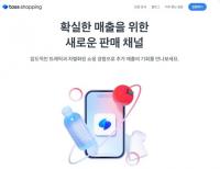 잠재 고객은 많지만…‘커머스 원년 선포’ 토스쇼핑 기대와 우려