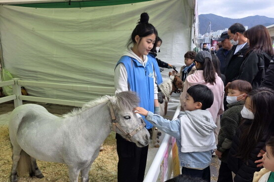 부산 지역축제에서 아이들이 말과 교감하고 있는 모습. 사진=렛츠런파크 부산경남 제공