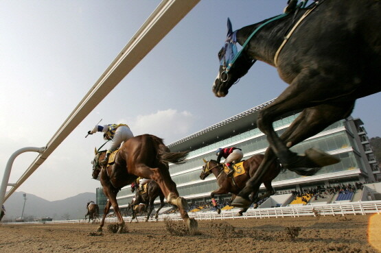 렛츠런파크 부산경남 경마 이미지. 사진=렛츠런파크 부산경남 제공