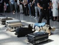 기착지서 소비지로 바뀔라…상반기 마약 2.6톤 적발 '위기의 대한민국'