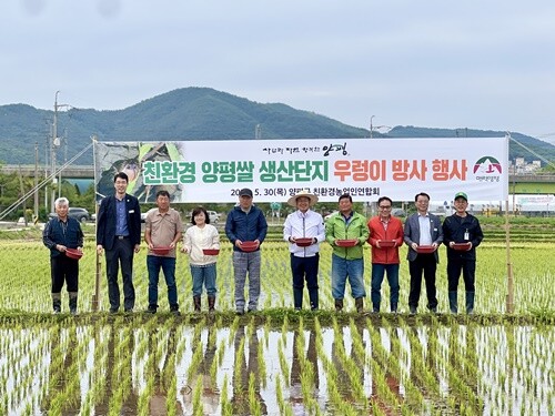 전진선 양평군수가 친환경 양평쌀 생산을 위해 우렁이 방사 행사에 참여했다. 사진=양평군청 제공