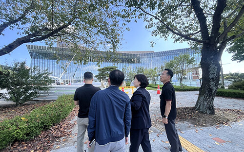 경북도 산림자원국 직원들이 가로수와 가로경관 관리 실태를 점검하고 있다. 사진=경북도 제공