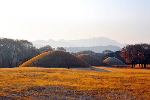 대릉원 아침풍경. 사진=경주시 제공