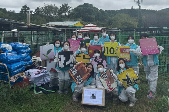 유기견보호소 현장봉사 ‘멍냥케어데이’ 행사 장면. 사진=건보공단 부울경본부 제공