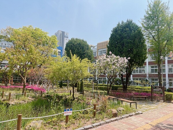 경북여고 학교숲. 사진=대구시 제공