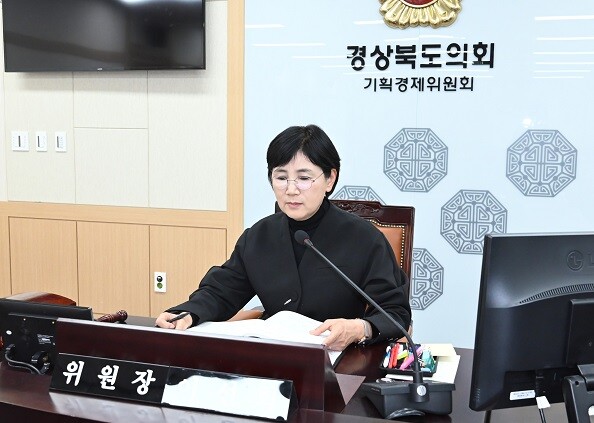 19일 에너지국과 메타국에 대해 행감 진행하는 이선희 기획경제위원장. 사진=경북도의회 제공