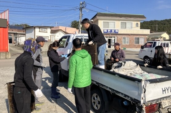 ‘다시마 종자생산 연구성과물’ 어업현장 보급 장면. 사진=기장군 제공