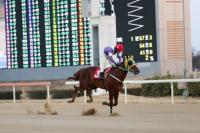 [렛츠런파크 부산경남] 최시대 기수, 한국 경마 역대 6번째 900승 달성 외