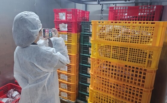 축산물 위생·이력제 합동점검 장면. 사진=김해시 제공