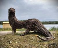 숲이 낳은 동물들 '숨멎 비주얼!'