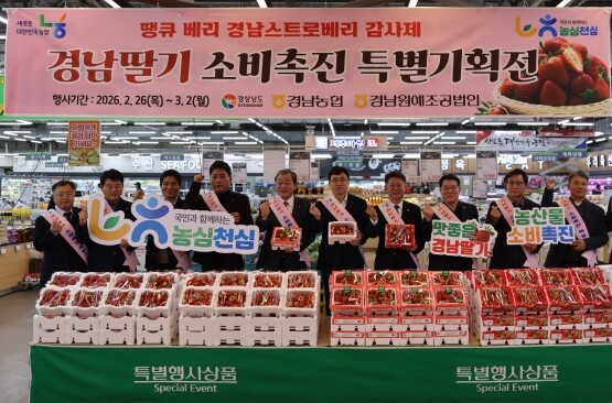 딸기 소비 촉진행사 모습. 사진=경남농협 제공
