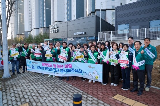 교통안전 캠페인 장면. 사진=김해시 제공