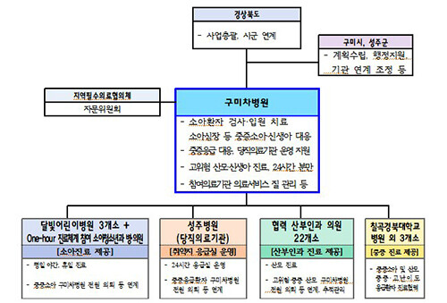 지방협업형 필수의료체계 구축 사업 추진체계. 자료=경북도 제공