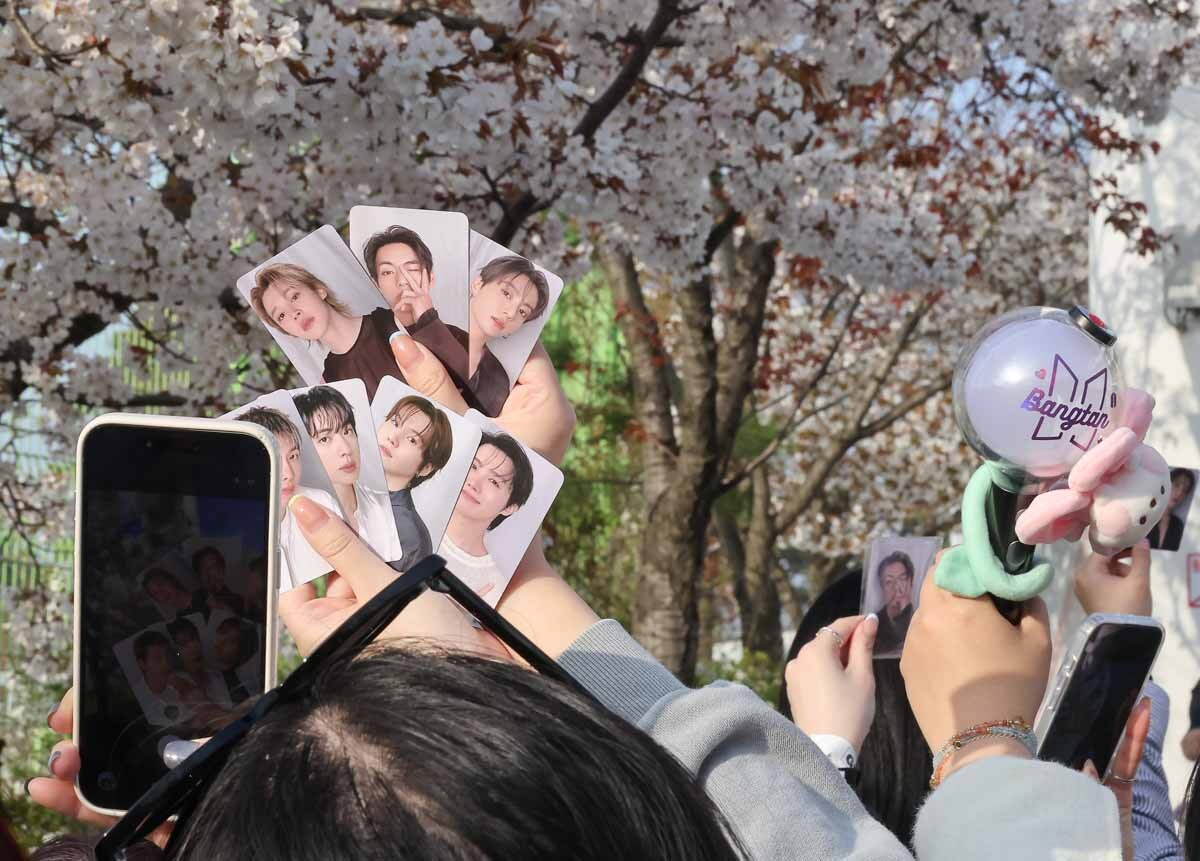 팬들이 BTS 포토카드와 벚꽃을 함께 휴대폰에 담고 있다. 사진=임준선 기자