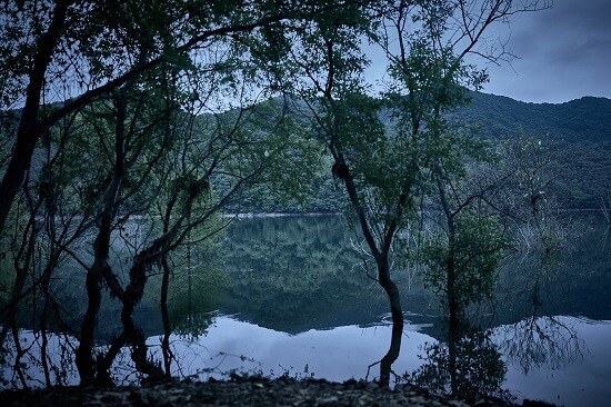 충남 예산군의 저수지 살목지의 괴담을 소재로 한 영화 '살목지'가 개봉 10일째인 4월 17일 기준 100만 관객을 돌파하며 흥행을 이어가고 있다. 사진=영화 '살목지' 스틸컷