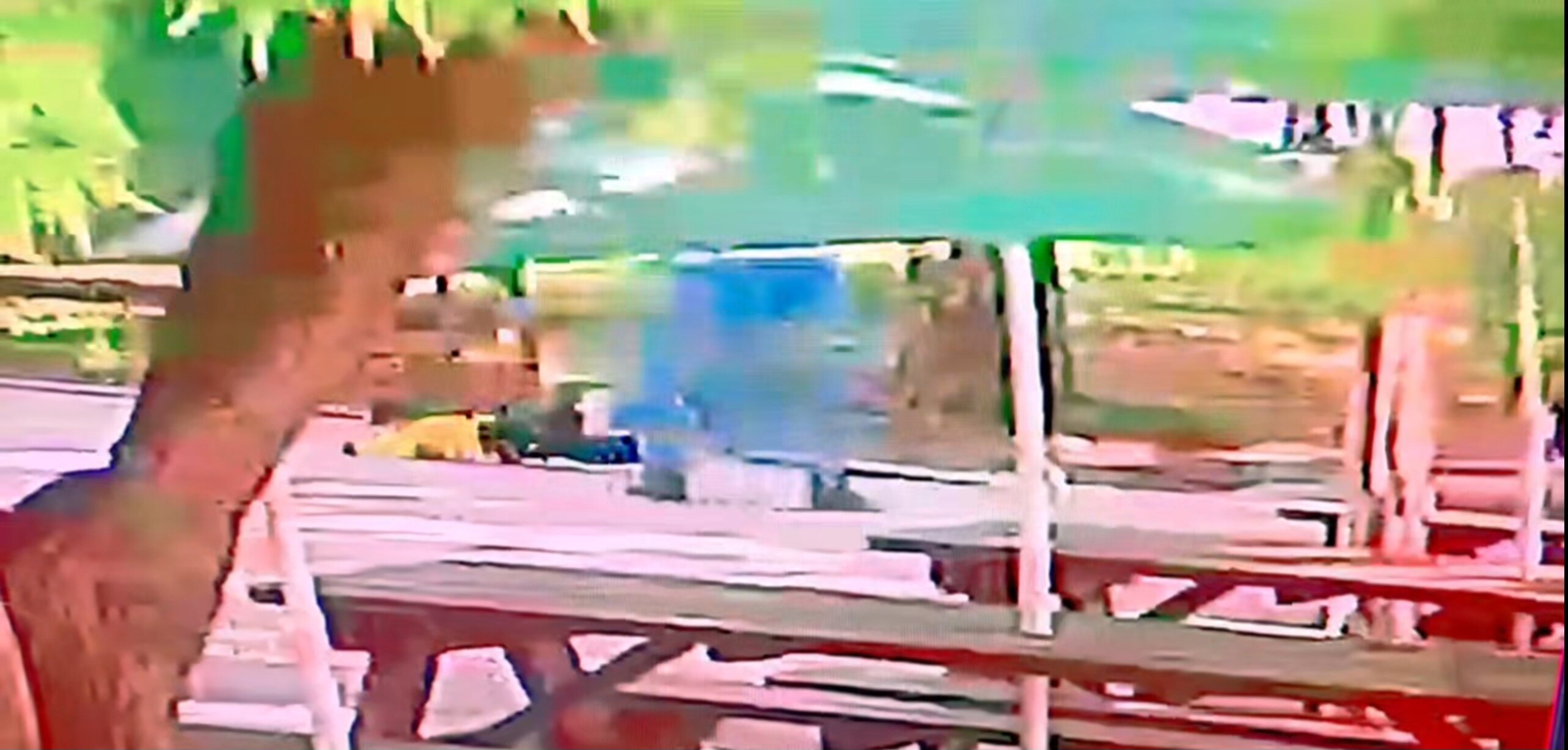 지난 5월 4일 오후 인천 부평의 한 공원에서 60대 남성 A 씨가 2살 B 군을 폭행하는 장면. 사진=SNS 갈무리