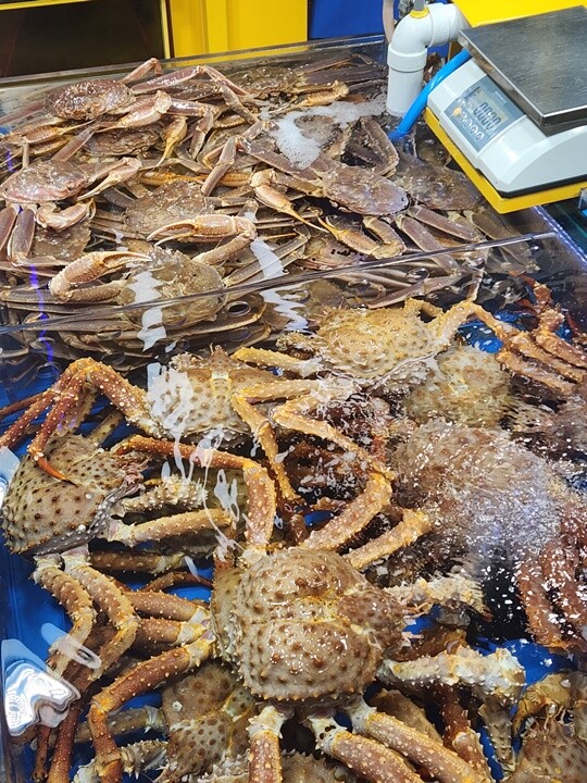 인천 제물포구 연안부두 어시장에 진열된 대게. 모두 러시아산이다. 사진=남경식 기자