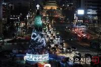 서울광장을 환하게 밝힌 ‘성탄 트리’