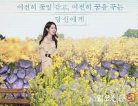 '유채꽃밭에 아이유가 피었습니다'